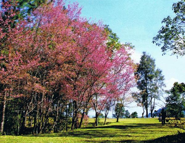 Pai River Mountain Resort Extérieur photo